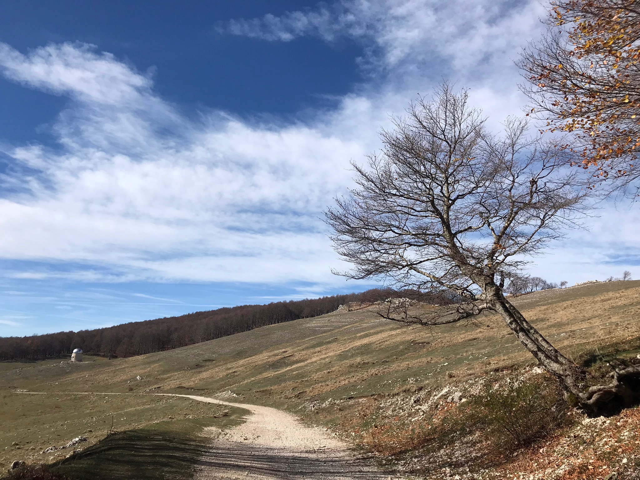 Trekking e arte